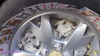 s6爆改炫色輪轂與車用床墊升級，生物技術開發服務的跨界融合